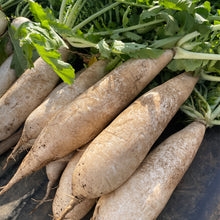 画像をギャラリービューアに読み込む, 三浦大根と私の台所 吉田和子