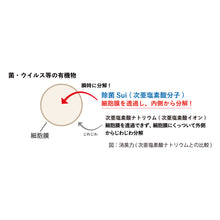 画像をギャラリービューアに読み込む, Sui (詰替500ml)
